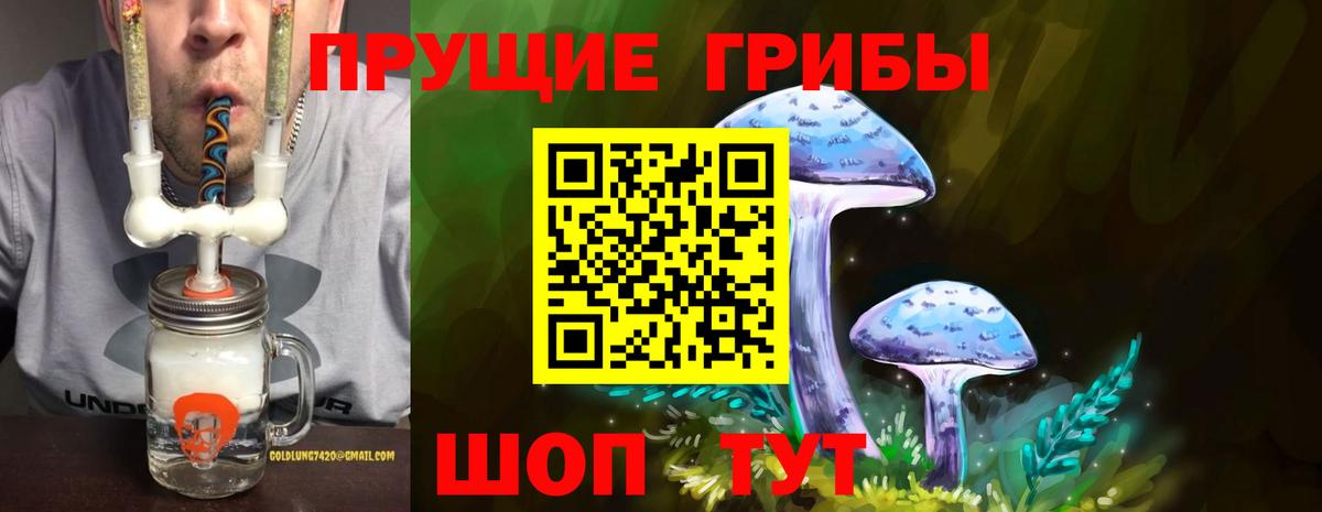 Псилоцибиновые грибы прущие грибы  Вход с VPN  Дубна 